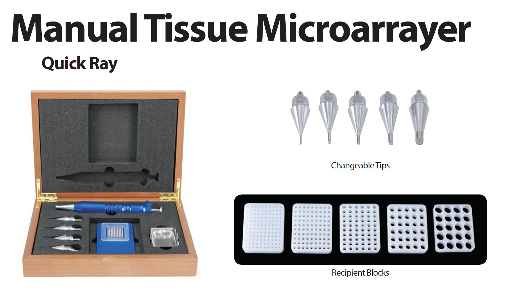 Tissue Microarray - TMA | Bamed